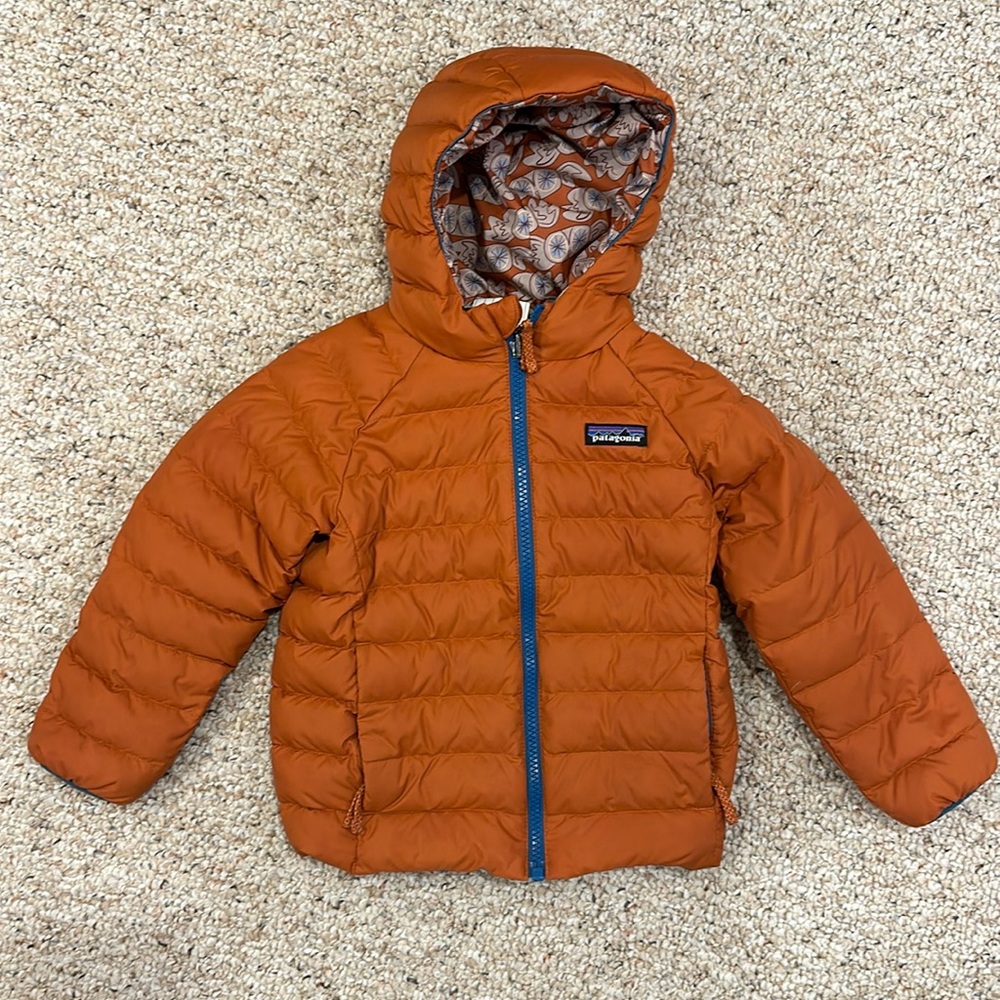 Patagonia Reversible Down Sweater Hoody.